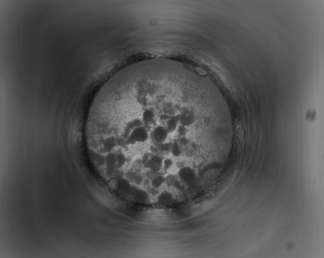 X0000102840499200809021340