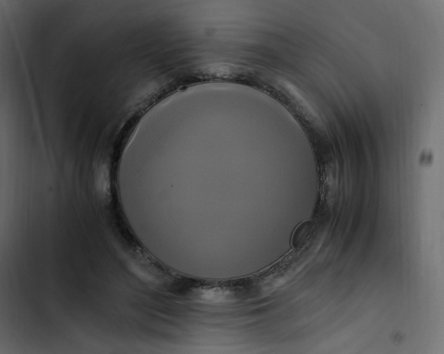 X0000102840500200809021340