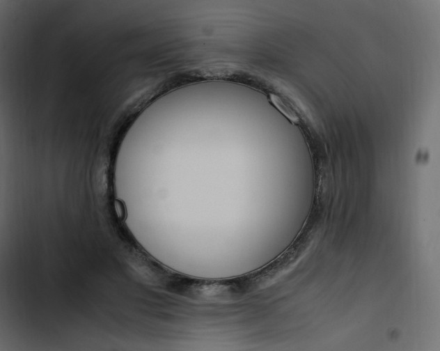 X0000102840501200809021340