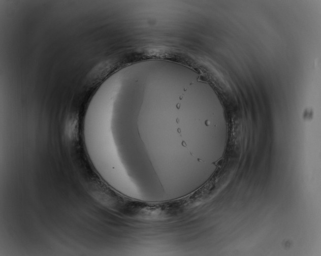 X0000102840502200809021340