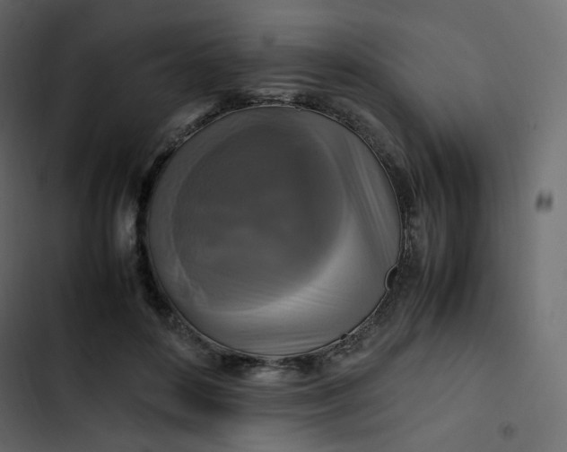 X0000102840504200809021340