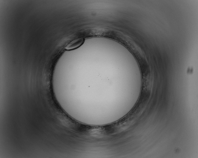 X0000102840505200809021340