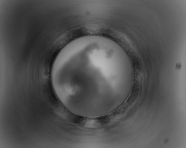 X0000102840507200809021340