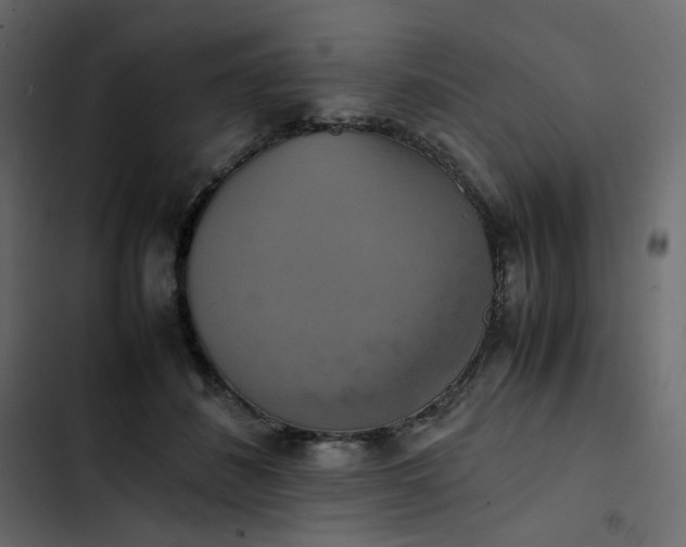 X0000102840508200809021340