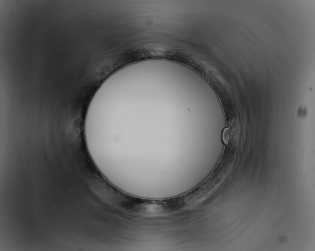 X0000102840509200809021340