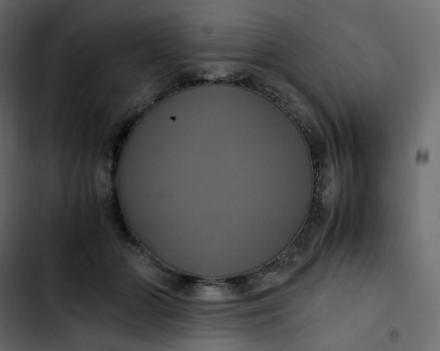 X0000102840510200809021340