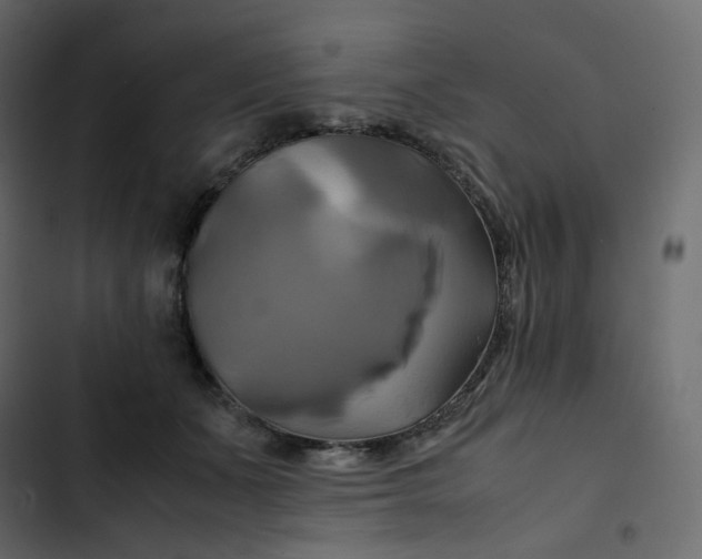 X0000102840511200809021340