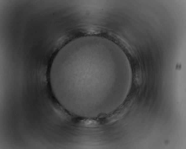 X0000102840512200809021340