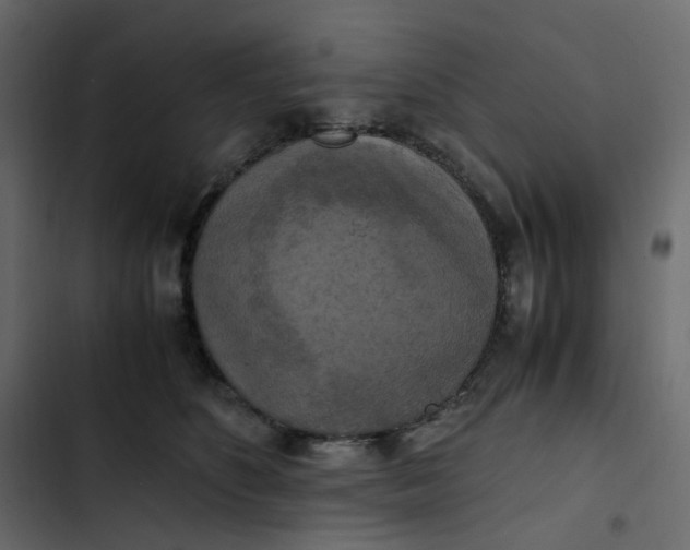 X0000102840516200809021340