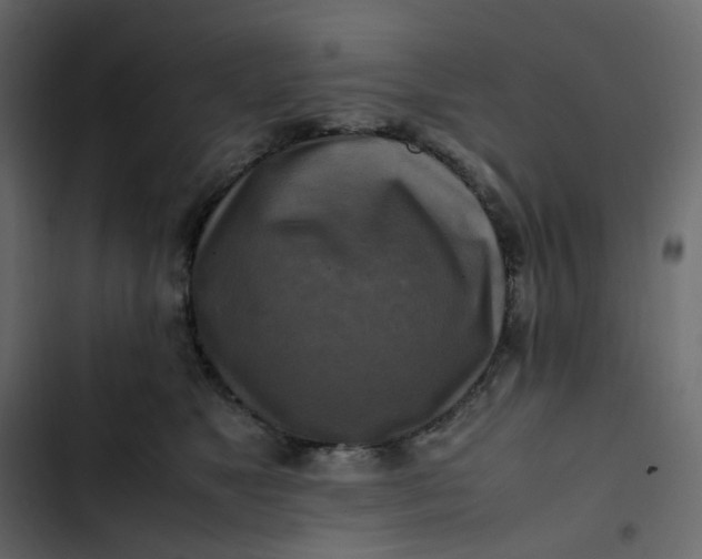 X0000102840517200809021339