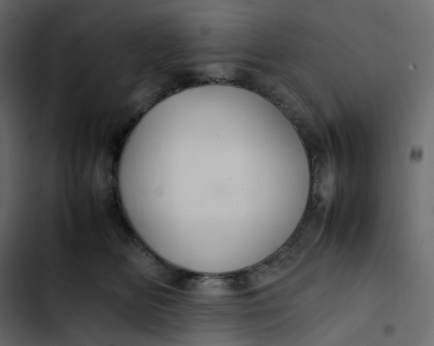 X0000102840518200809021339