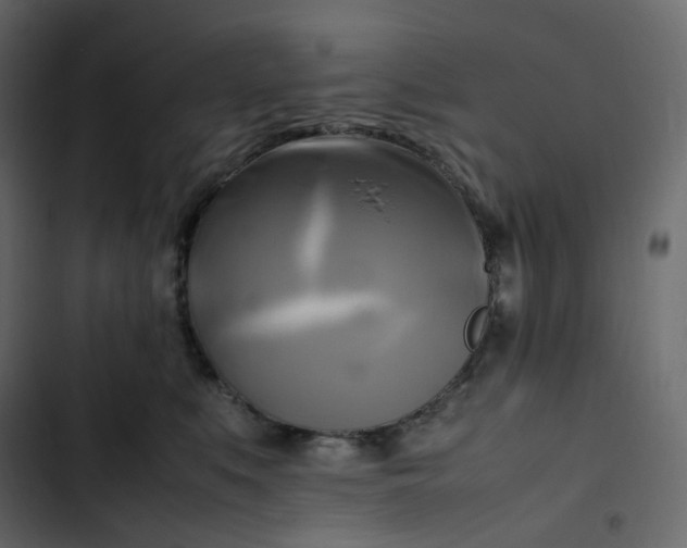 X0000102840519200809021339