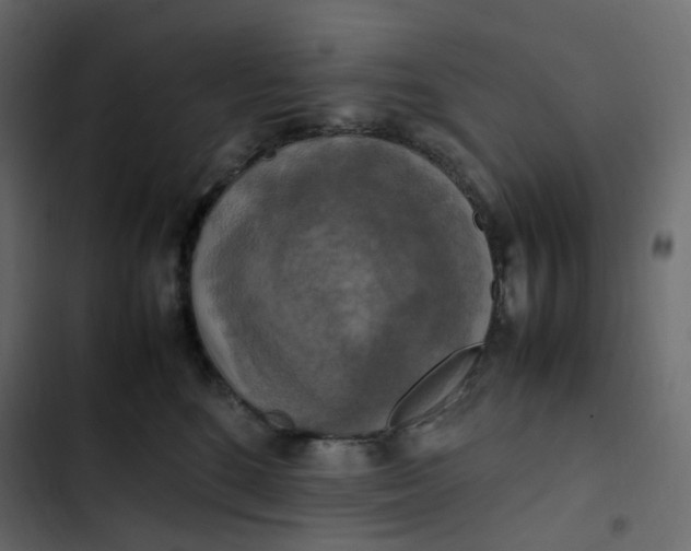 X0000102840520200809021339