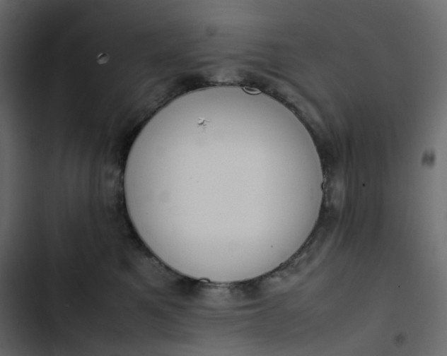 X0000102840521200809021339