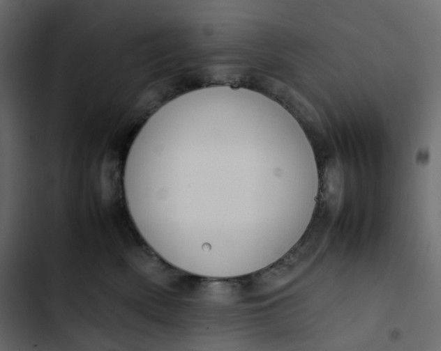 X0000102840522200809021339