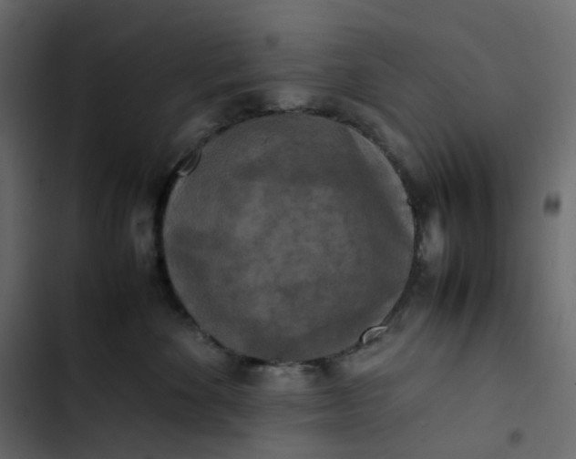 X0000102840524200809021339