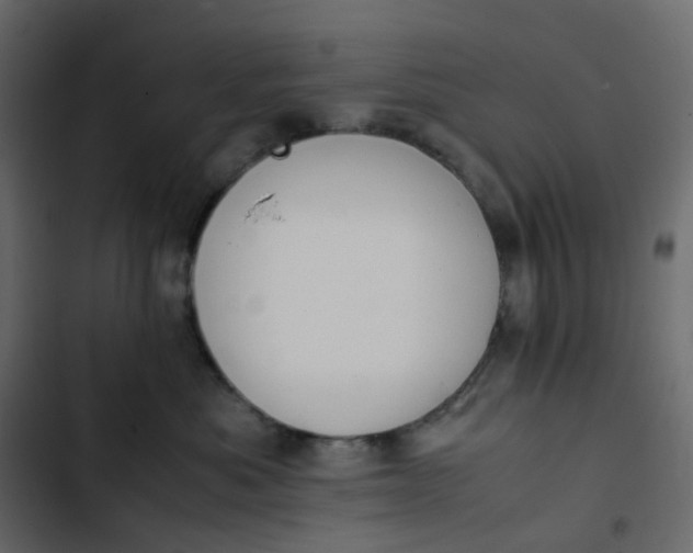 X0000102840525200809021339