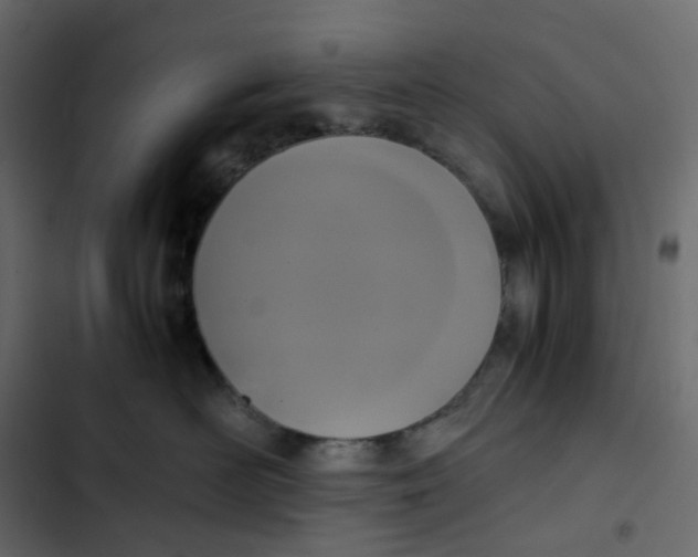 X0000102840526200809021339