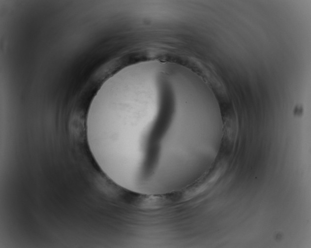 X0000102840527200809021339