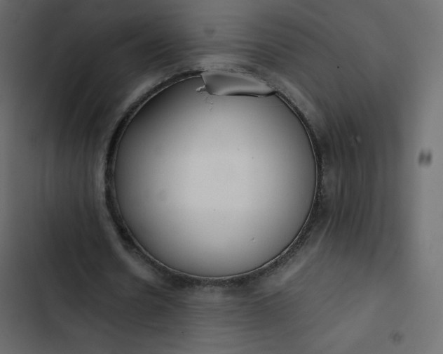 X0000102840530200809021339