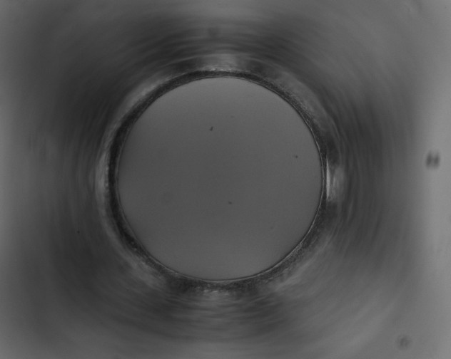 X0000102840531200809021339