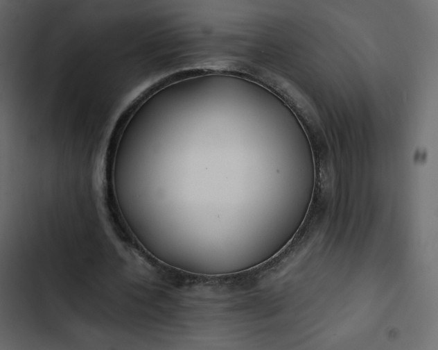 X0000102840532200809021339