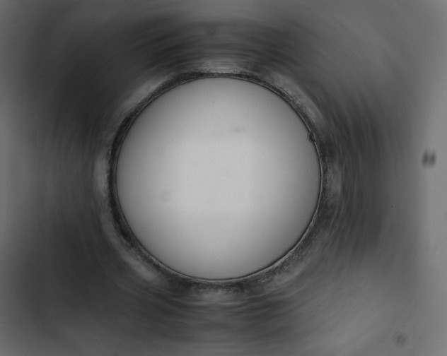 X0000102840533200809021339