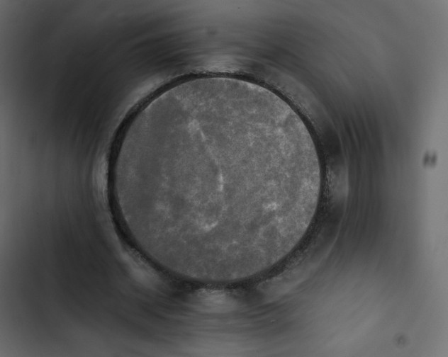 X0000102840534200809021339