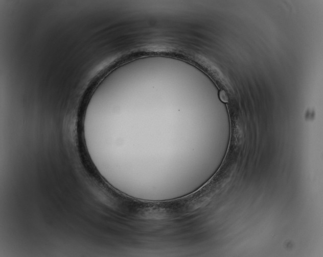 X0000102840535200809021339