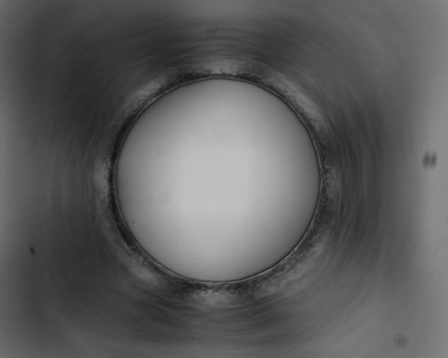 X0000102840537200809021339