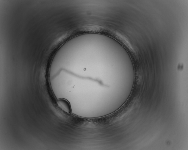 X0000102840538200809021339