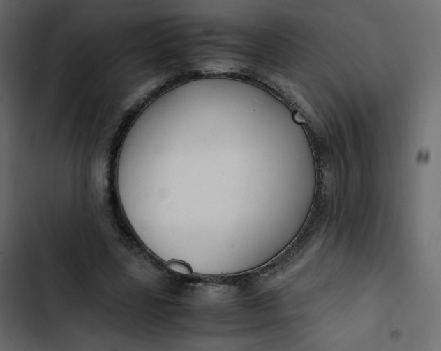 X0000102840539200809021339