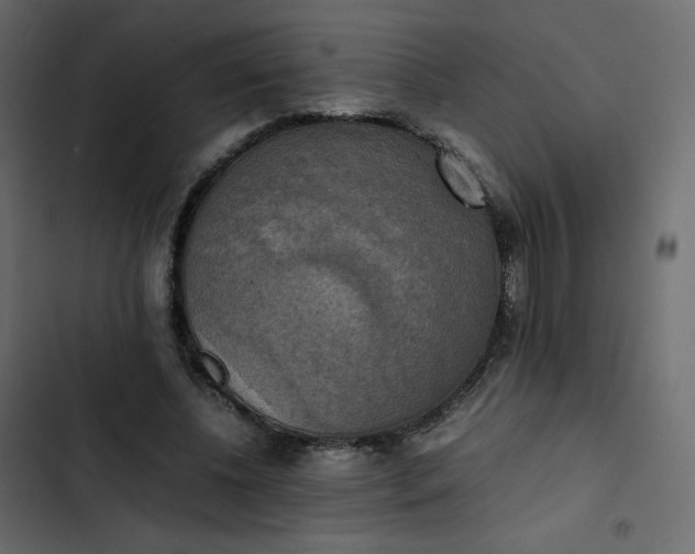 X0000102840540200809021339