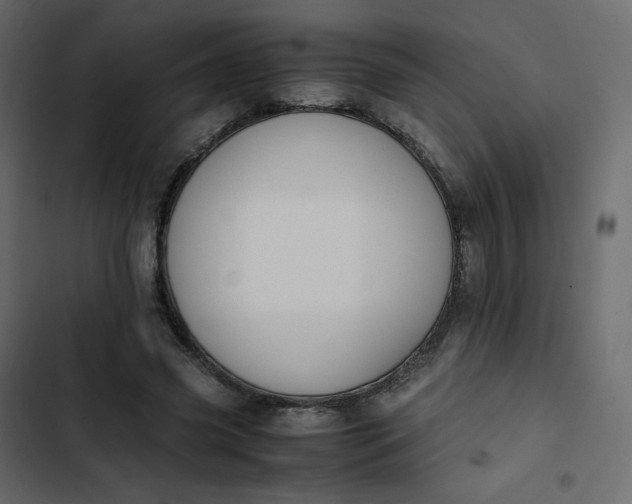 X0000102840541200809021339