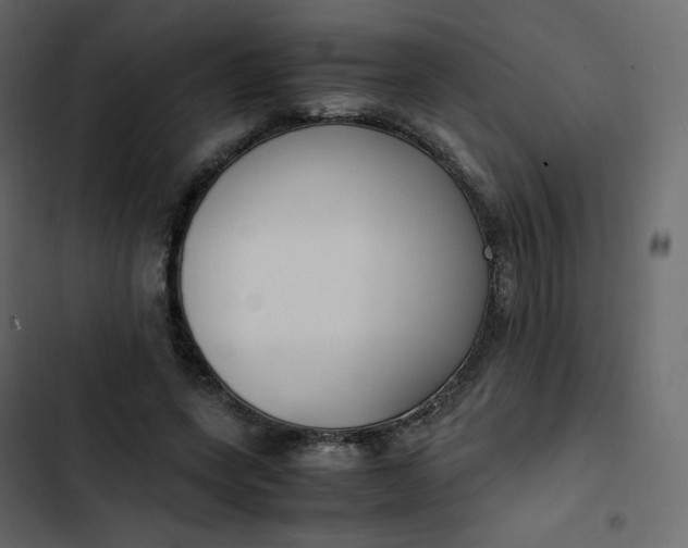 X0000102840543200809021339