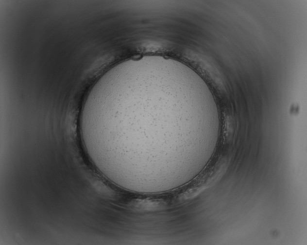 X0000102840545200809021339