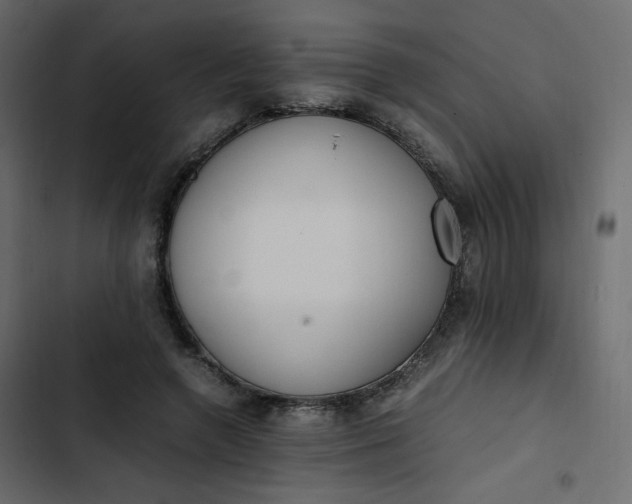 X0000102840546200809021339