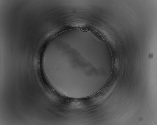 X0000102840547200809021339