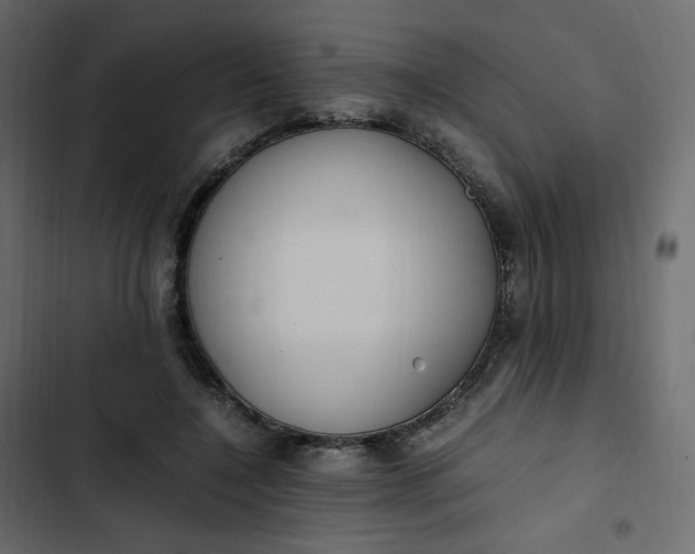 X0000102840548200809021339