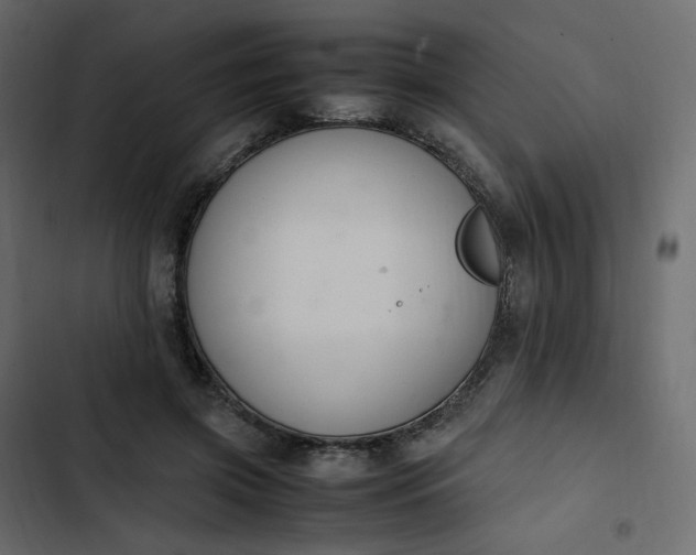 X0000102840549200809021339