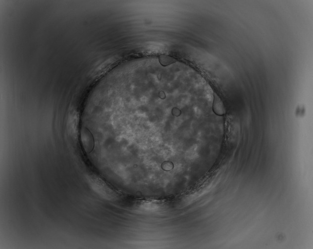 X0000102840550200809021339