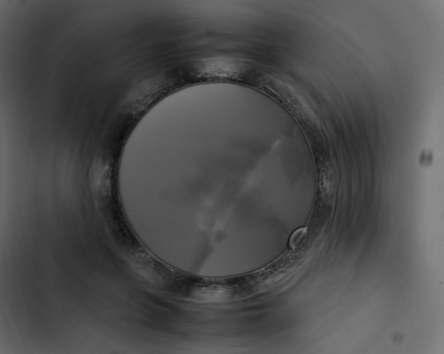 X0000102840551200809021339