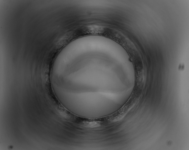 X0000102840553200809021339