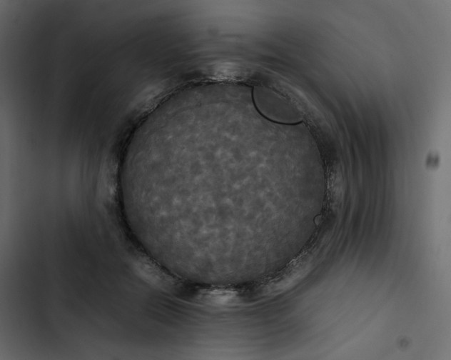 X0000102840554200809021339