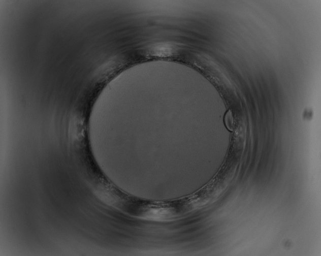 X0000102840555200809021339