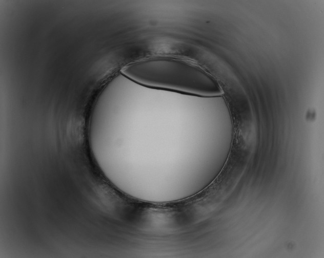 X0000102840556200809021339