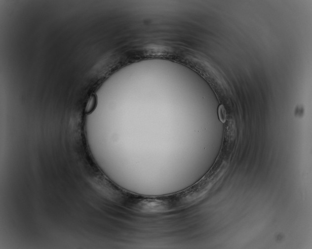 X0000102840557200809021339