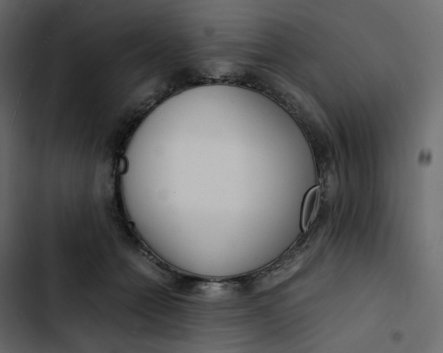 X0000102840558200809021339