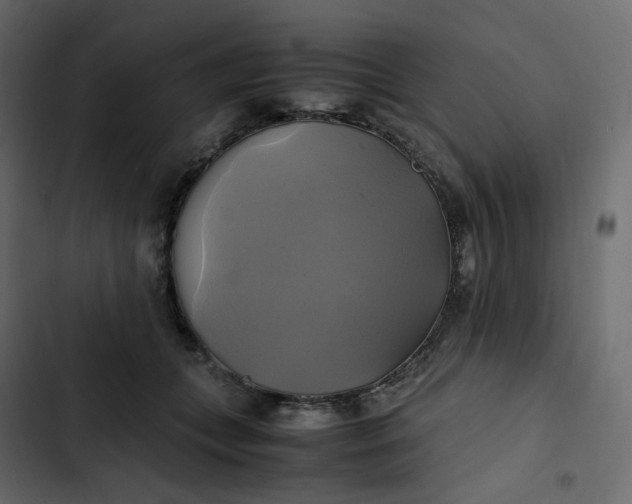 X0000102840559200809021339