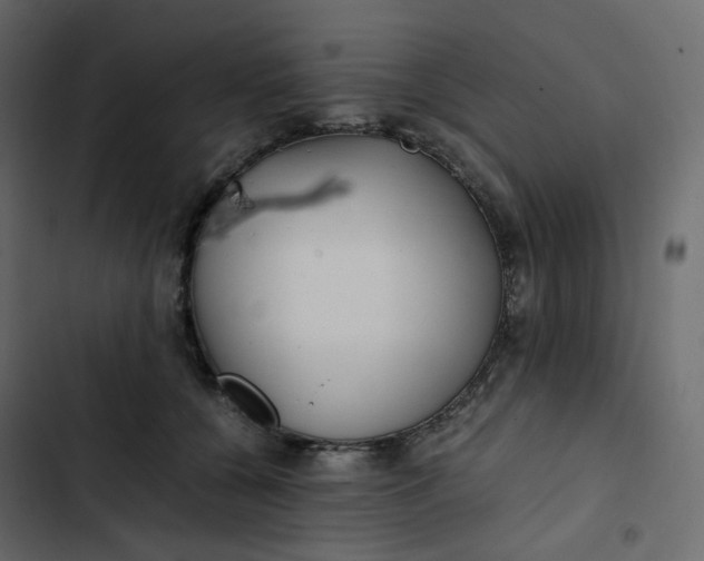 X0000102840560200809021339